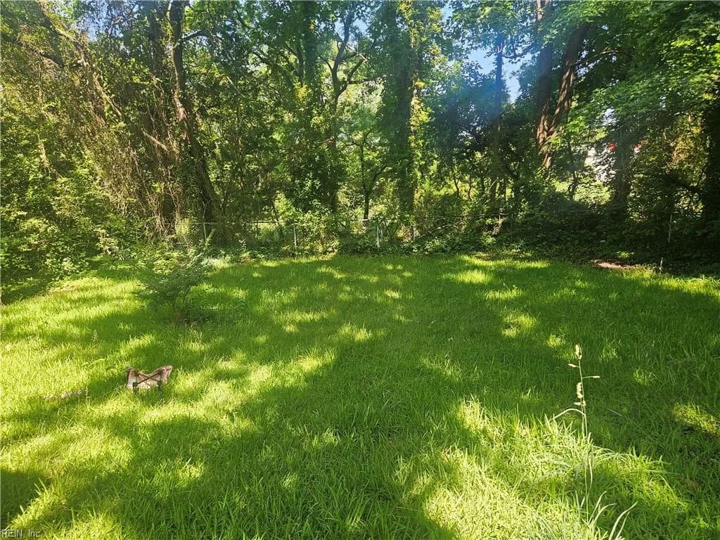 2615 Somme AVE, NORFOLK VA 23509 - Photo 3