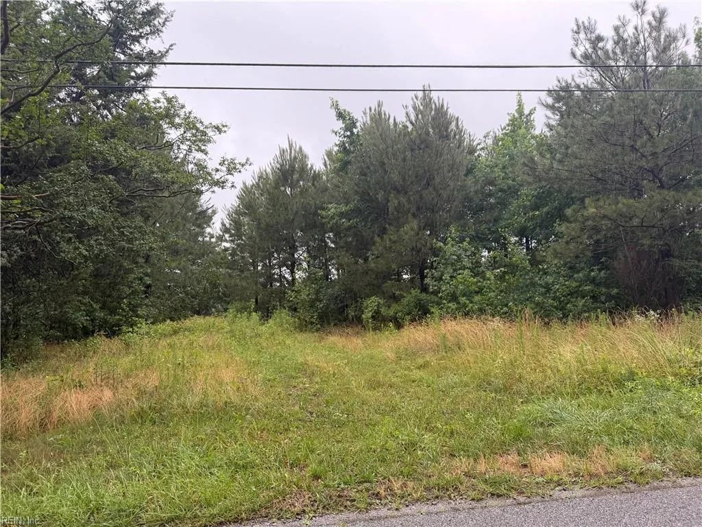 741 Manning RD, Suffolk — Land and Farms