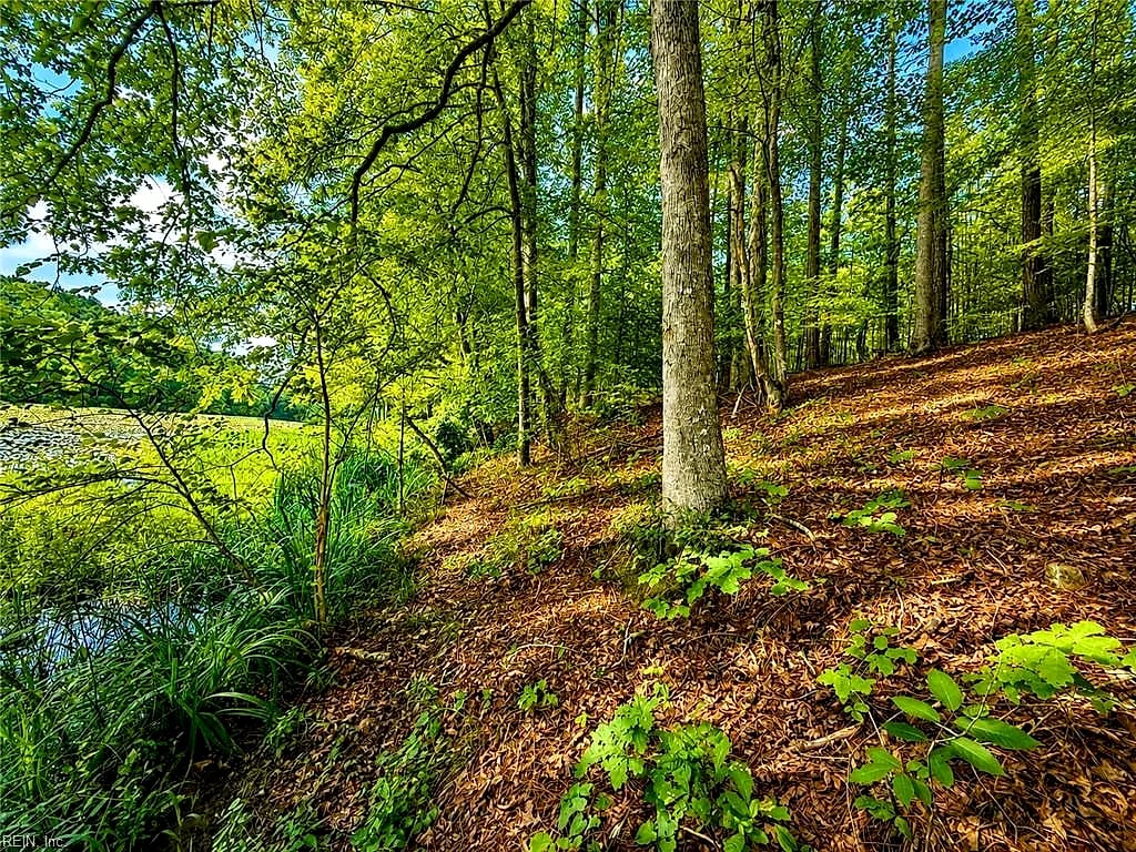 LOT 5 Birdsong RD, Ebony — Land and Farms