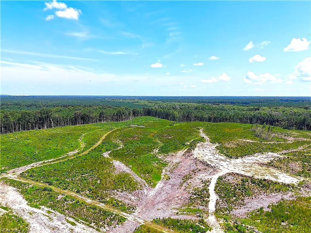 125 Ac Newville RD, Waverly — Land and Farms