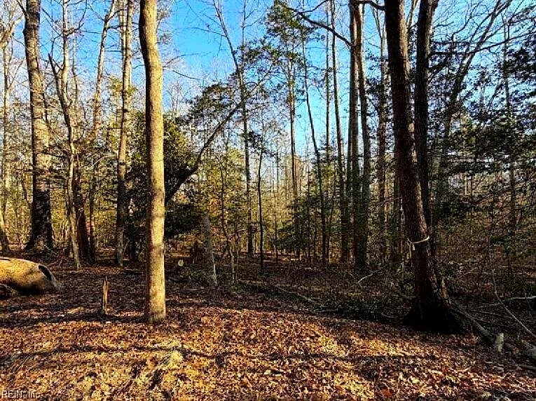 4.68AC King William RD, King William — Land and Farms
