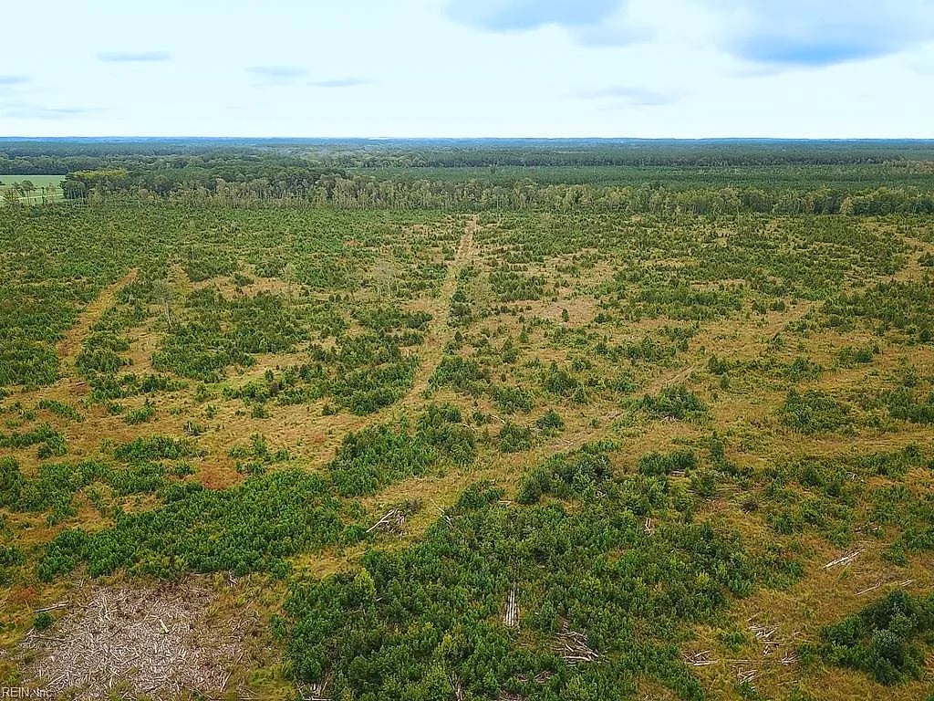 193 Acres Saxis RD, Saxis — Land and Farms